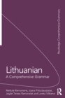 Lithuanian: A Comprehensive Grammar - Book