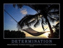 Determination Poster - Book
