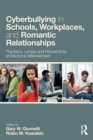 Cyberbullying in Schools, Workplaces, and Romantic Relationships : The Many Lenses and Perspectives of Electronic Mistreatment - Book