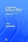 Psychosocial Resilience and Risk in the Perinatal Period : Implications and Guidance for Professionals - Book