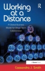 Working at a Distance : A Global Business Model for Virtual Team Collaboration - Book