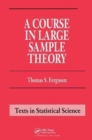 A Course in Large Sample Theory - Book