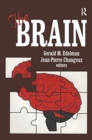 The Brain - Book