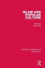 Islam and Popular Culture - Book