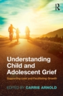 Understanding Child and Adolescent Grief : Supporting Loss and Facilitating Growth - Book