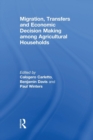 Migration, Transfers and Economic Decision Making among Agricultural Households - Book