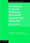 Turbulence, Coherent Structures, Dynamical Systems and Symmetry - eBook