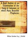 A Brief Outline of an Examination of the Song of Solomon : In Which Many Beautiful Prophecies - Book