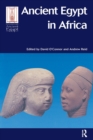 Ancient Egypt in Africa - eBook