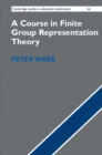 Course in Finite Group Representation Theory - eBook