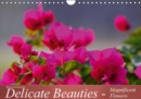 Delicate Beauties - Magnificent Flowers : A Variety of Flowers - Book