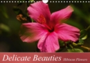 Delicate Beauties Hibiscus Flowers : Delicate Hibiscus Flowers in Beautiful Varieties and Colors - Book