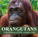 Orangutans Inhabitants of the Rainforests 2018 : Intelligent Creatures Who Clearly Have the Ability to Reason and Think - Book