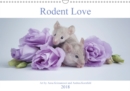 Rodent Love 2018 : Art by Anna Krizsanoczi and Andrea Kornfeld - Book