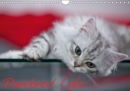 Purebred Cats (UK-Version) 2019 : Gorgeous Cats at Home - Book