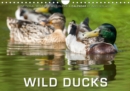 Emotional Moments: Wild Ducks. / UK-Version 2019 : Ingo Gerlach has made great pictures of wild ducks. - Book