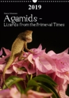 Agamids - Lizards from the Primeval Times 2019 : Photos of Oriental Garden Lizards in their natural habitat - Book