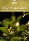 Delicate Beauties - Butterflies of the Malay Peninsula 2019 : Tropical butterflies in their natural environment - Book