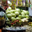 Marche tropical 2019 : Une visite au marche public de "la ville de douces personnes" - Dumaguete, Negros Oriental, Philippines - Book