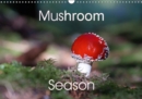 Mushroom Season 2019 : A small collection of mushrooms, found in German forests. They all look nice, the edible ones as well as the poisonous species. - Book