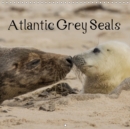 Atlantic Grey Seals 2019 : A glimpse into the family life of the grey seals - Book