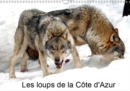 Les loups de la Cote d'Azur 2019 : Un parc a loups a ete cree dans le Mercantour et a accueilli ses premiers loups venant de la Republique Tcheque en 2005. J'ai suivi et photographie l'evolution du Ce - Book
