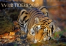 Wild Tigers 2019 2019 : Stunning images of wild tigers in India - Book