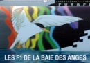 Les F1 de la Baie des Anges 2019 : Nice a accueilli l'armada de l'Extreme Sailing Series en octobre 2011 et depuis, elle sillonne la Baie des Anges chaque annee. - Book