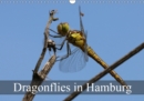 Dragonflies in Hamburg 2019 : Fantastic Dragonflies in Hamburg - Book