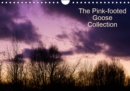 The Pinkfoot Goose Collection 2019 : Collection of colourful images from the life of Pink-footed Geese. - Book