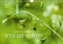 THESE  PLANTS ARE WILD AND HEALTHY 2019 : Edible wild plants: fascinating, healthy and rich in species. - Book