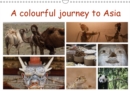 A colourful journey to Asia 2019 : Thematically arranged, you can admire the colourful diversity of our trip from Europe to Asia - Book