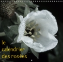 le calendrier des rosees 2019 : Photos d'une annee de gouttes de rosee sur la nature. - Book