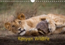 Kenyan Wildlife 2019 : Stunning wildlife images from the Masai Mara,Kenya - Book