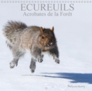 ECUREUILS. Acrobates de la Foret 2019 : Les ecureuils du Quebec au fil des quatre saisons. - Book