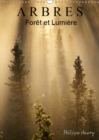 ARBRES. Foret et Lumiere 2019 : Des arbres dans toute leur beaute. - Book