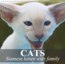 Cats - Siamese kitten with family 2019 : Siamese cats are very intelligent and affectionate - Book