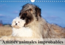 Amities animales improbables 2019 : Merveilleuses amities du monde animal - Book