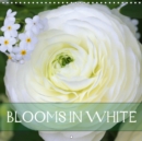 Blooms in White 2019 : Charming white blossoms - Book