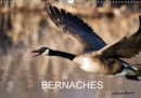BERNACHES 2019 : Les quatre saisons de la Bernache du Canada - Book
