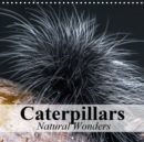 Caterpillars Natural Wonders 2019 : Ingenious masters of transformation - Book
