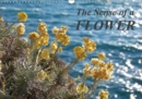 The Sense of a Flower 2019 : Universal beauty of flowers - Book