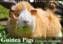 Guinea Pigs Delicate creatures 2019 : Guinea Pigs are sociable and inquisitive animals - Book