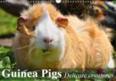 Guinea Pigs Delicate creatures 2019 : Guinea Pigs are sociable and inquisitive animals - Book