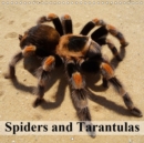 Spiders and Tarantulas 2019 : Little alien monsters - Book