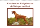 Rhodesian Ridgebacks d'Afrique du Sud 2019 : Rhodesian Ridgebacks photographies par Anke van Wyk dans leur pays d'origine, l'Afrique du Sud. - Book