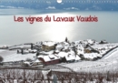 Les vignes du Lavaux Vaudois 2019 : Vignes en terrasses sous la neige - Book