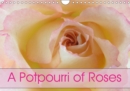 A Potpourri of Roses 2019 : Roses - an endless story - Book
