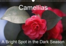 Camellias A Bright Spot in the Dark Season 2019 : Extraordinary flowers in winter - Book