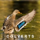 COLVERTS 2019 : 13 portraits colores de canards colverts. - Book